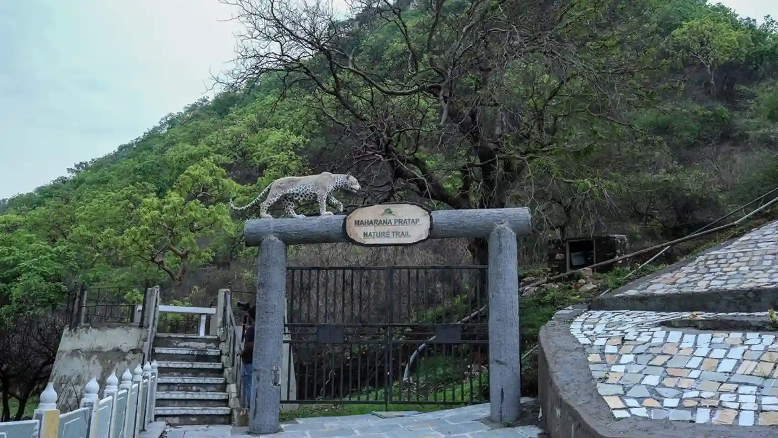 Sajjangarh Wildlife Sanctuary