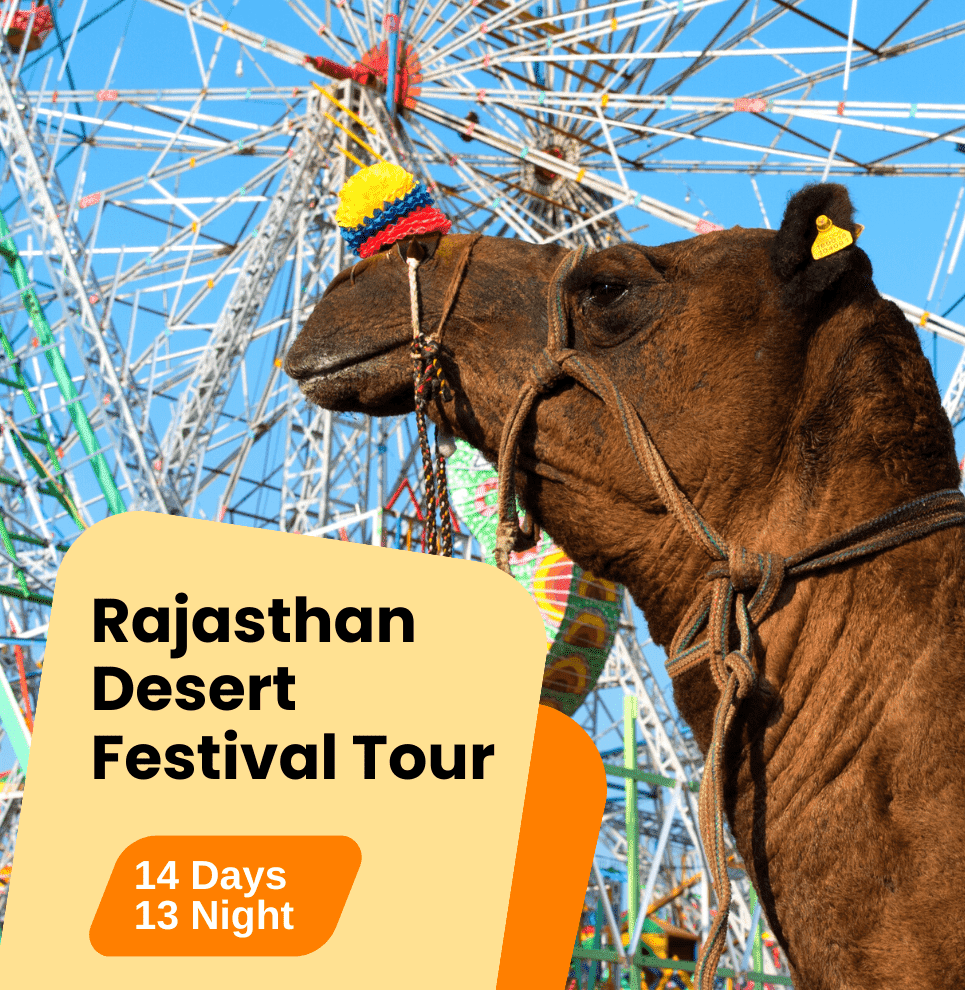 Rajasthan Desert Festival Tour