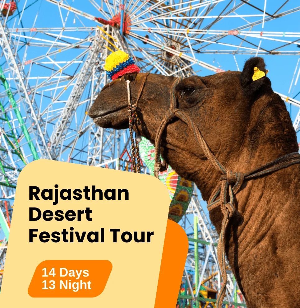 Rajasthan Desert Festival Tour